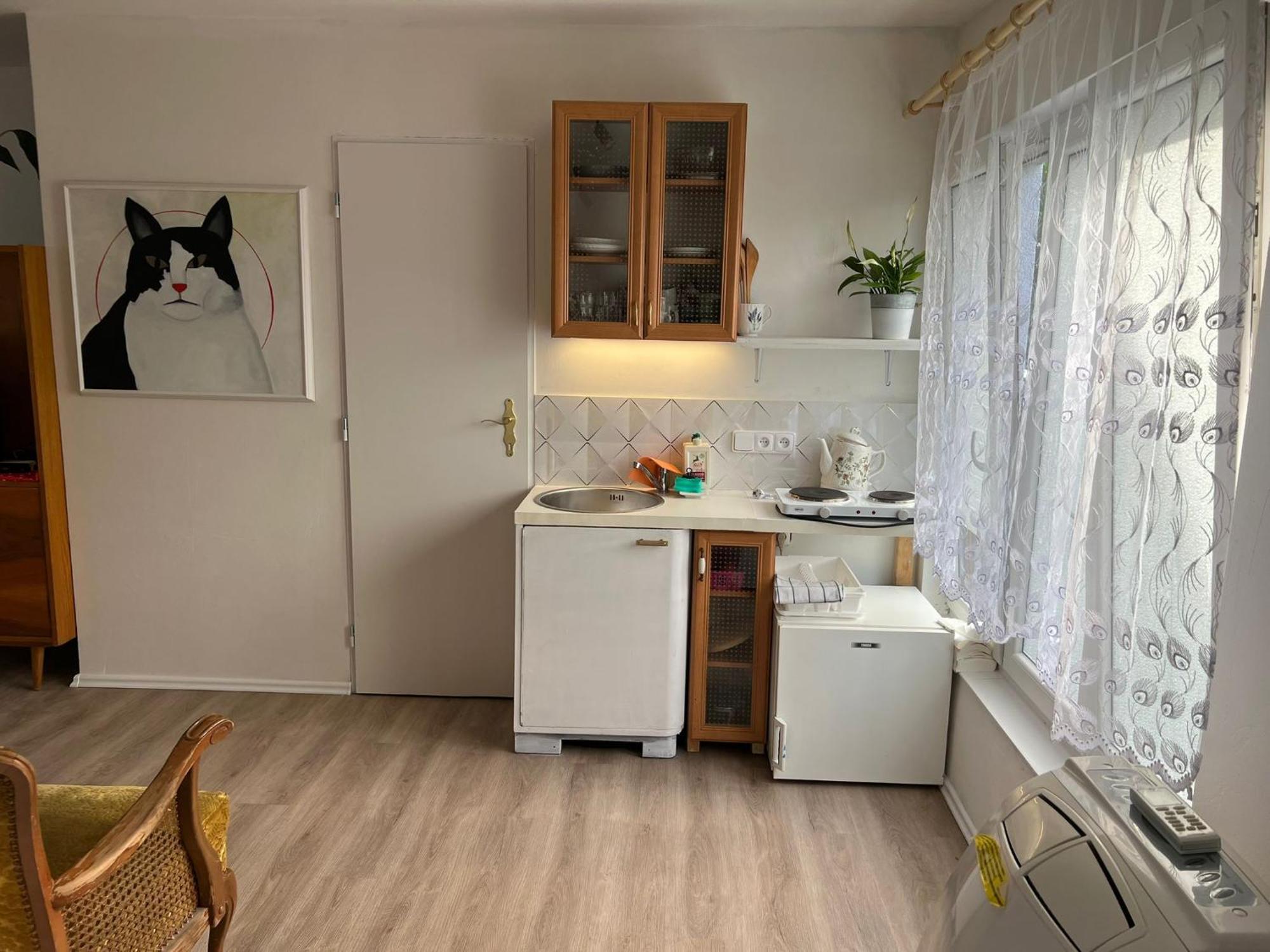 Vila Opočno Екстериор снимка